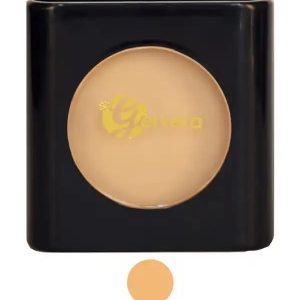پنکک حاوی روغن آرگان عسلی روشن 107 ژرورا